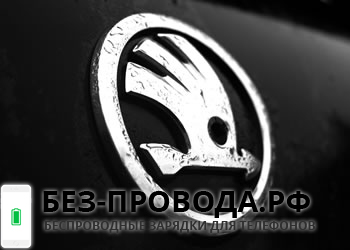 Skoda ���� 2