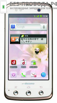 QI ���������� NTT Docomo mobile phone (75)